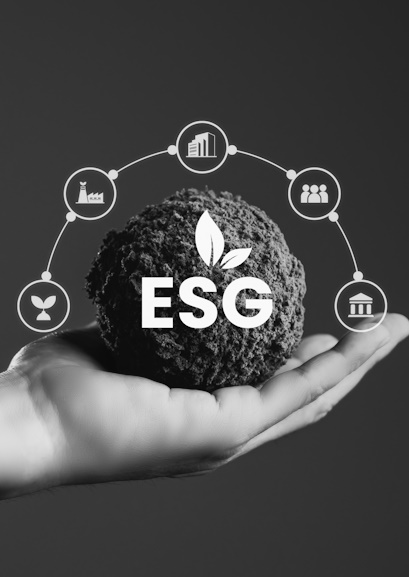 Rezolve consulting ESG services